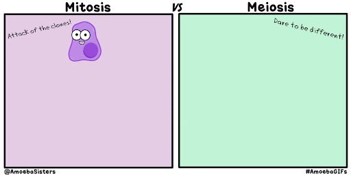 unnamed.gif