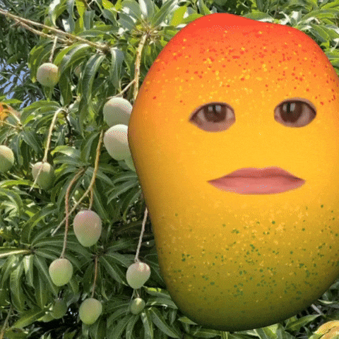 giphy (7).gif