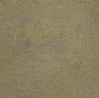 1T Dyers Polypore on Cotton - Ferrous Sulfate