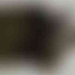 Dyers Polypore + Ferrous Sulfate on Wool