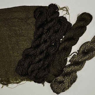 Dyers Polypore + Ferrous Sulfate on Wool