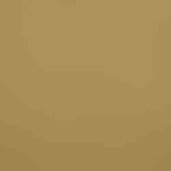 5S Dyers Polypore on Cotton - No mordant