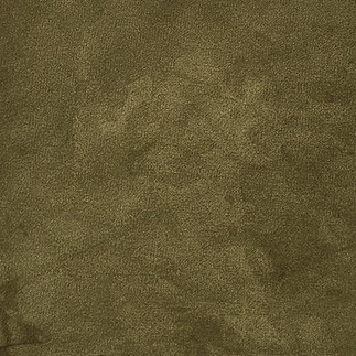 7S Dyers Polypore on Silk Satin - ferrous sulfate