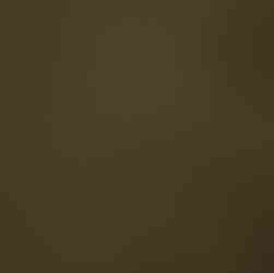 8S Dyers Polypore on Silk Noil - ferrous sulfate