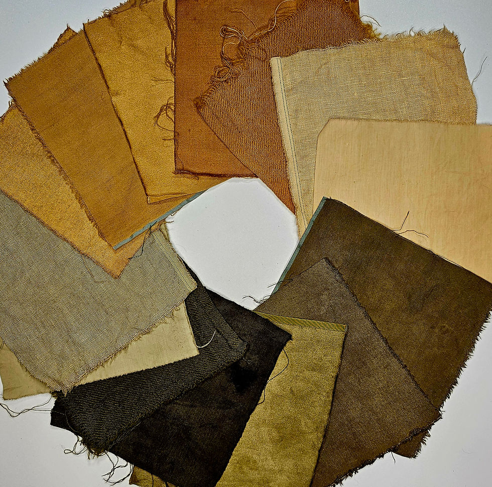 Dyers Polypore on Wool, Several Kinds of Silk, Linen, and Cotton