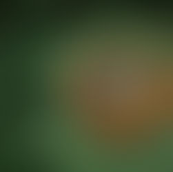 Small Underground Shelter