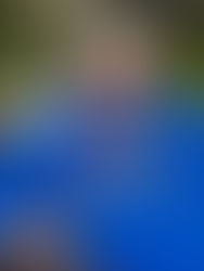 Jason Ernest Tordale