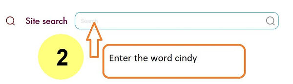search example 1-2.jpg