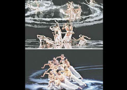 image_large (3)