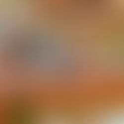 Het horecavak: waarom je nooit uitgeleerd bent!