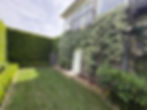 IMG_2550.jpeg
