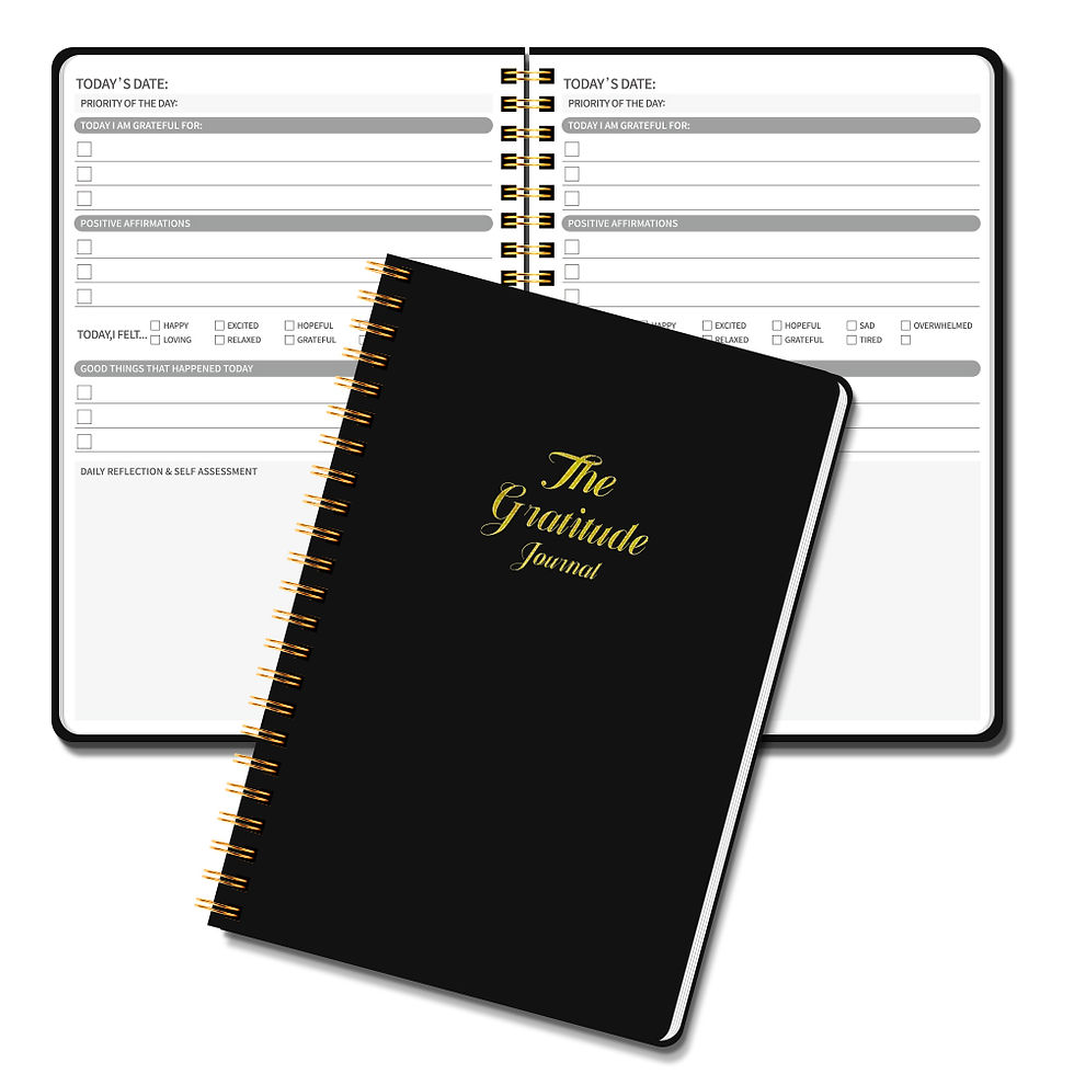 Thumbnail: Gratitude Planner Undated Daily Journal 5.71x8.15 Inch