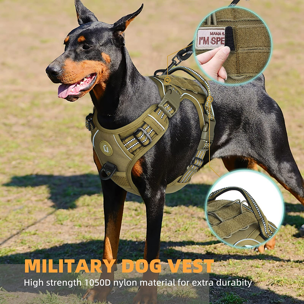 Thumbnail: Tactical Dog Harness – No Pull, Adjustable Breathable MOLLE Vest for Adult Dogs
