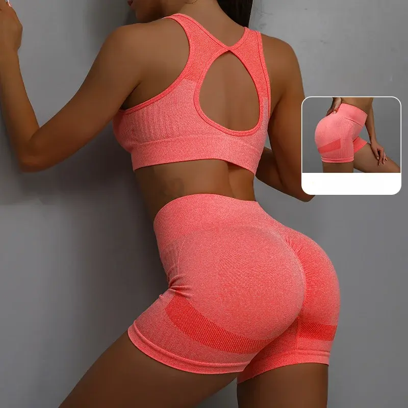 Thumbnail: Seamless Yoga Outfit – Sleeveless Sports Bra & Shorts Set for Women