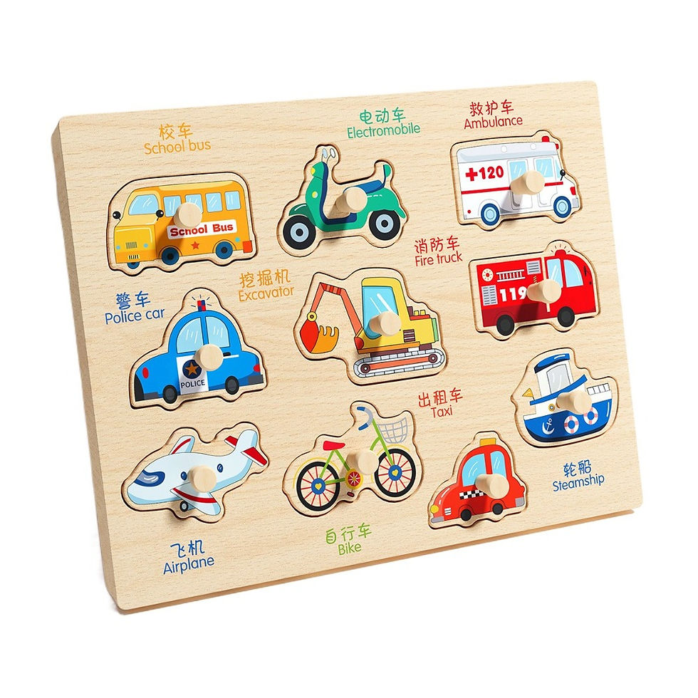 Thumbnail: Montessori Wooden Shape Matching Puzzle Board