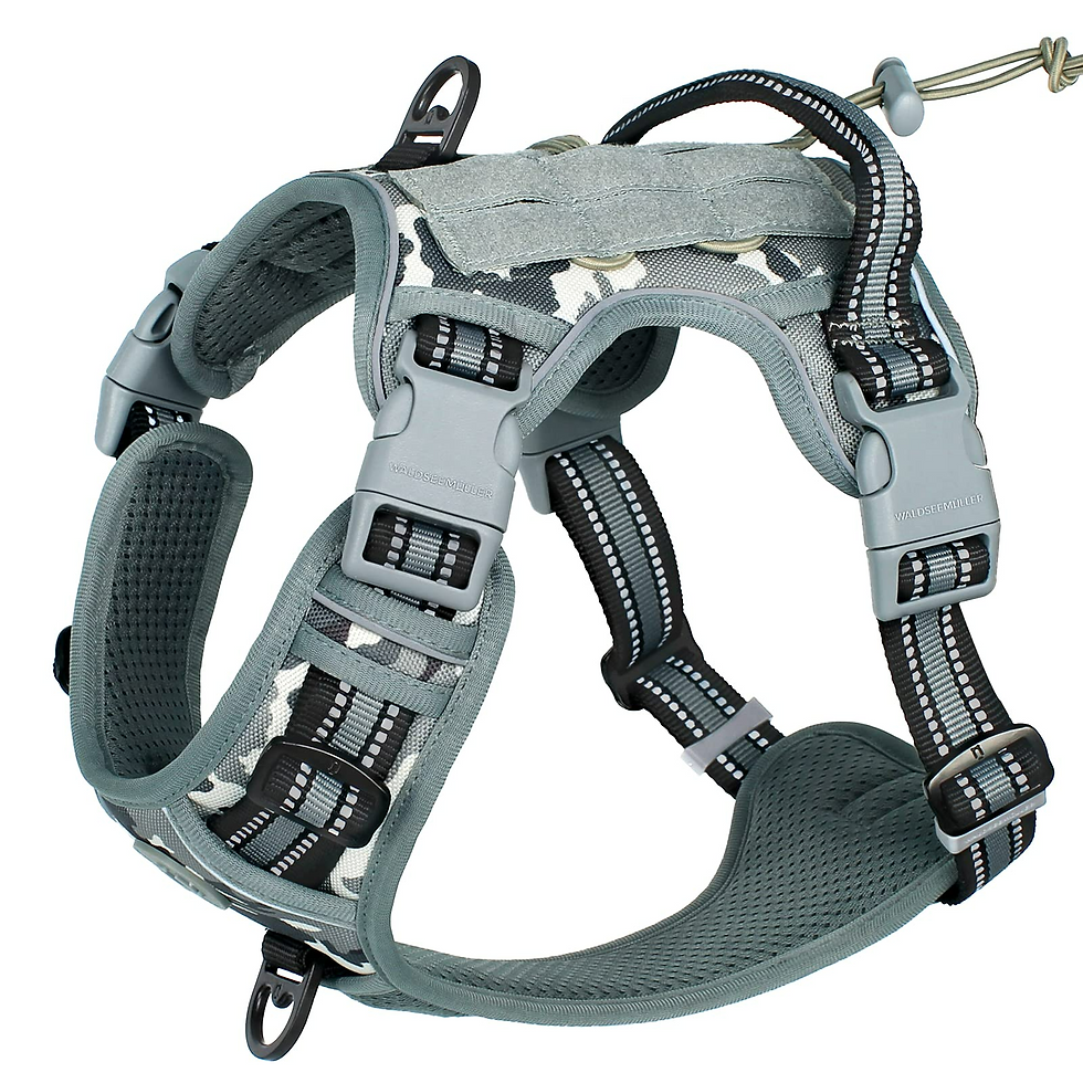 Thumbnail: Tactical Dog Harness – No Pull, Adjustable Breathable MOLLE Vest for Adult Dogs