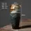 Thumbnail: Retro Ceramic Hydroponic Vase for Home Decoration