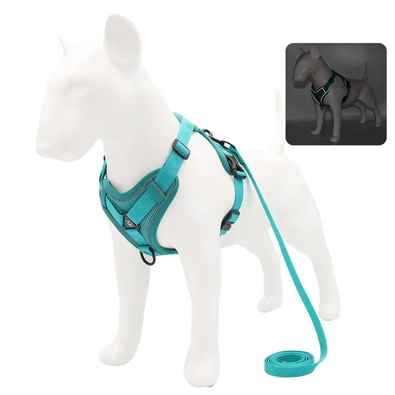 Thumbnail: Adjustable No-Pull Pet Harness & Leash Set – For Small Dogs and Cats