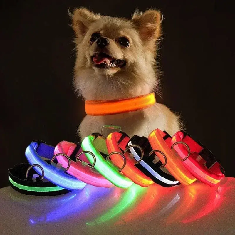 Thumbnail: USB Rechargeable LED Dog Collar – Adjustable Luminous Safety Necklace