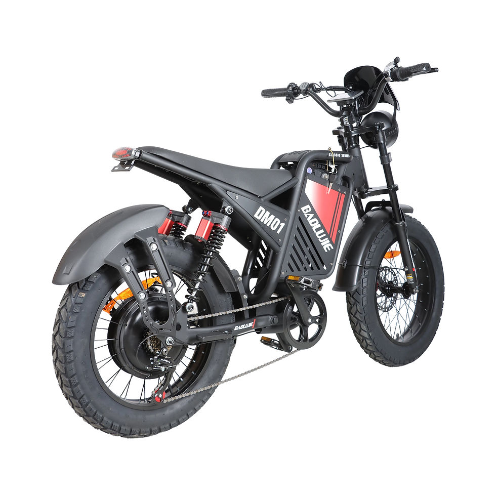 Thumbnail: Dual Motor Electric Dirt Bike 2000W 60V 20-Inch Fat Tire