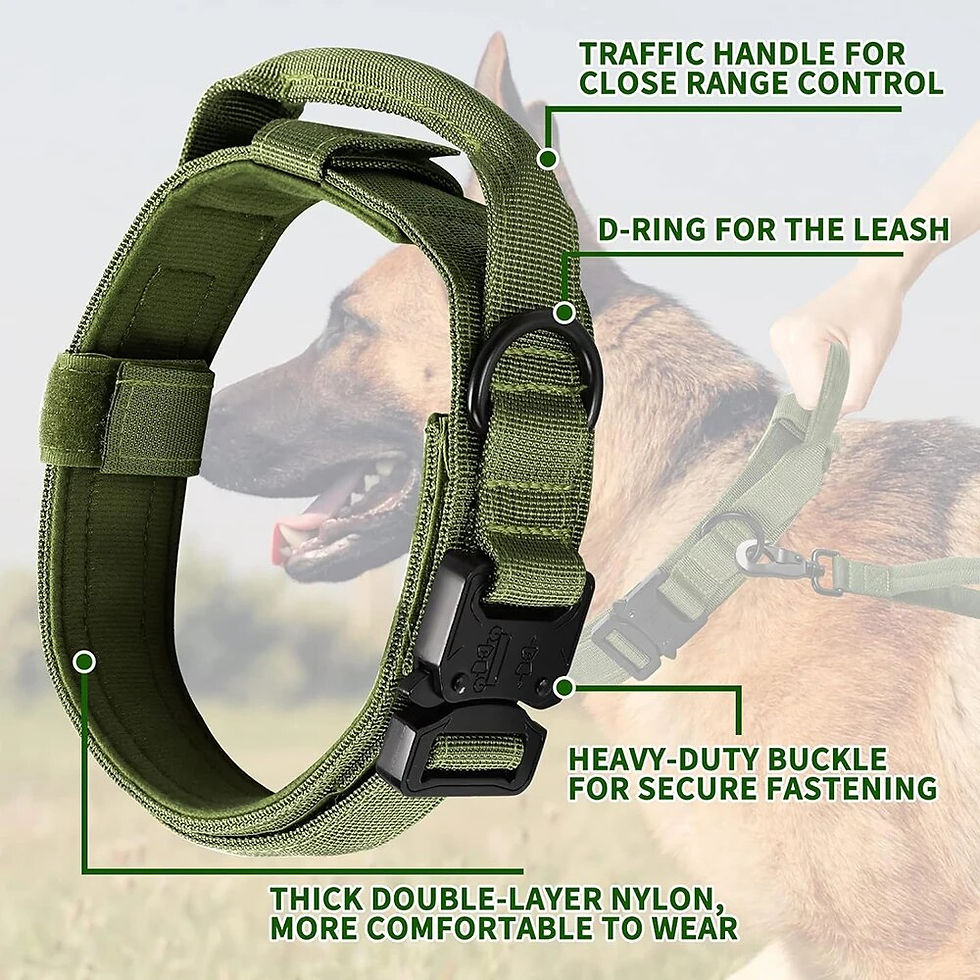 Thumbnail: Adjustable Nylon Dog Collar & Leash Set – Breakaway Design for Senior Dogs