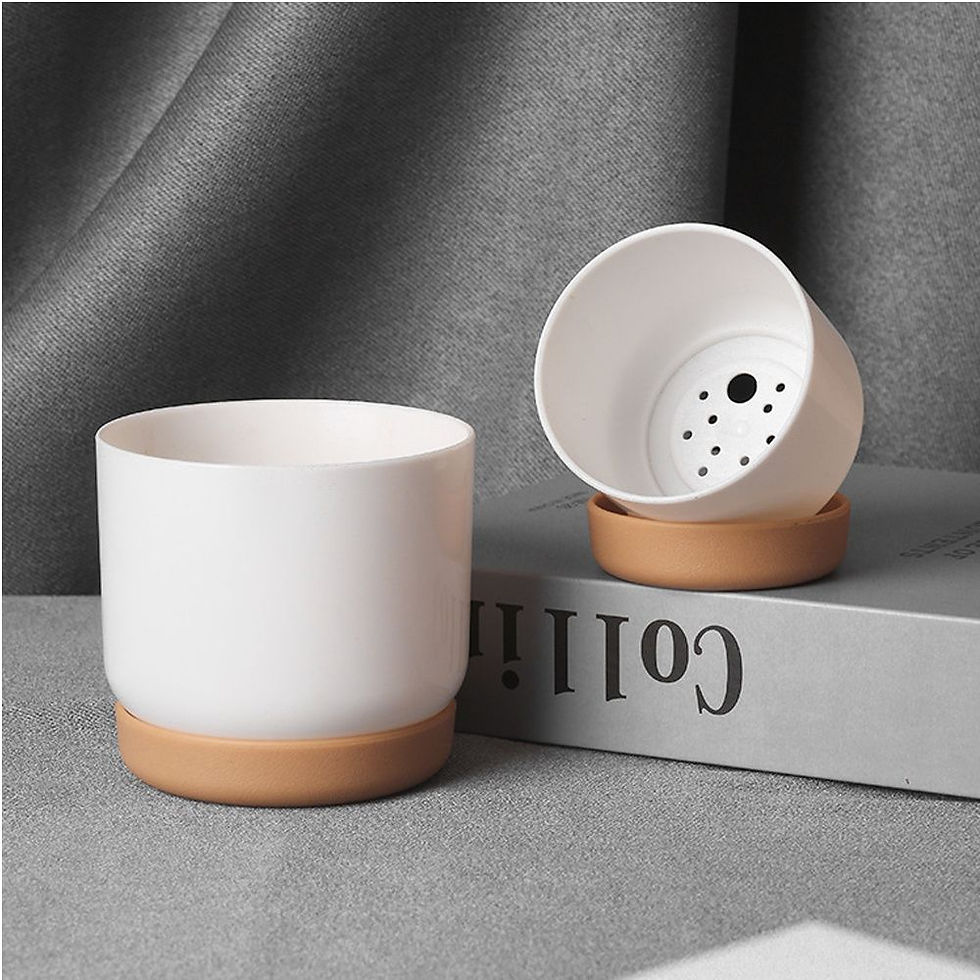 Thumbnail: Double-Layer Self-Watering Flower Pot with Drainage – Indoor Plant Container