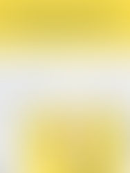 The effect of Parental Age on Autism Diagnosis in children