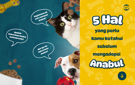 5 HAL YANG HARUS KAMU TAHU SEBELUM ADOPSI ANABUL!