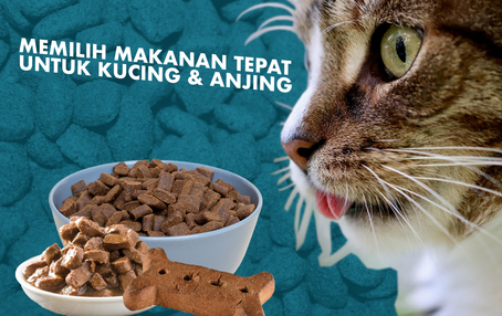 Cara Memilih Makanan yang Tepat untuk Kucing & AnjingAnda