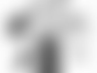 On performative males