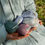 Thumbnail: minis - compressed prayer cloth & face mat