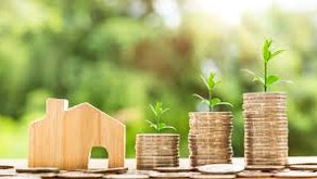 Property vs Shares