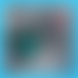 Clog remover near me used for toilet blockage in Shah Alam