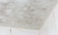 High electric bills, mold, black mold, mildew, high electric usage, dryer vent cleaning, air duct cleaning, dry vent fires, energy audit, dust, Panama City, Panama City Beach, Destin, Fort Walton Beach, Purge, Oakaloosa County, Walton County, and Bay County