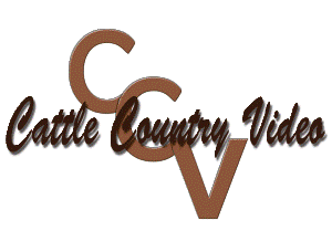 new_ccv_logo.gif