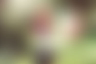 ¿Fotos de Estudio o Exteriores? Que elegir en tus sesión de 15 años