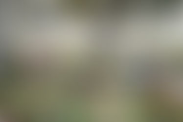 Día de Difuntos en Ecuador: cómo compartir las fotos con toda la familia