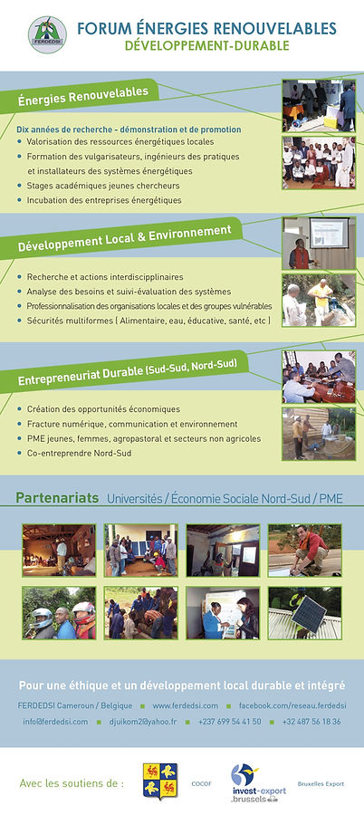 Poster rull up _Activites_Reseau FERDEDSI(1).jpg