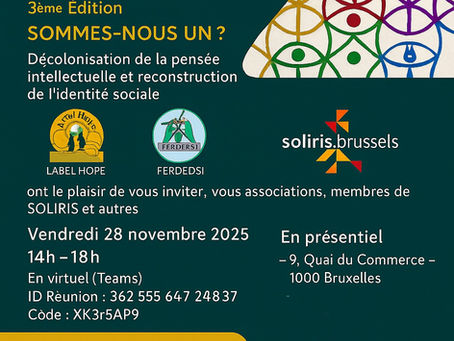 Restitution -concertation et analyse des discours du 27/11/25 - place des acteurs de coopération au développement
