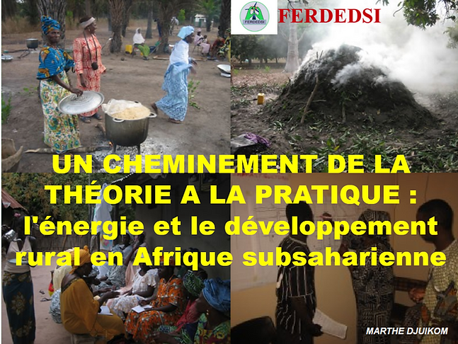 L’ENERGIE SOLAIRE DANS LA PROVINCE DE L’EXTREME NORD DU CAMEROUN SITUATION ET PERSPECTIVE