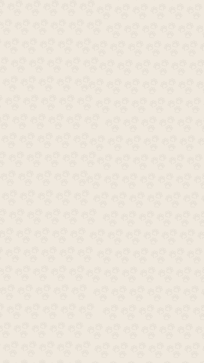 Au royaume des Chats-2.png