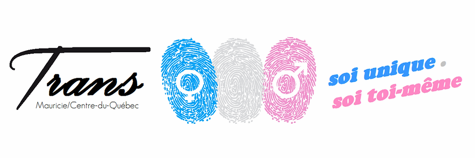 Organisme local Trans Mauricie/Centre-du-Québec