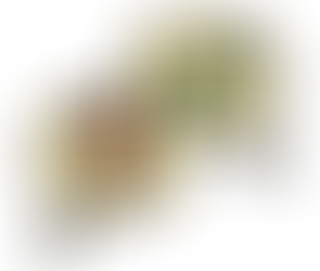 Comment équilibrer les besoins de mon enfant trans avec ceux de mes autres enfants pour s'assurer que chacun se Sente soutenu et valorisé ?