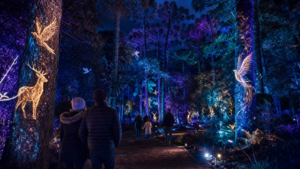 Prefeitura transforma o Passeio Público na casa do Inverno Encantado de Curitiba