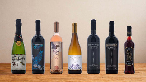 Vinícola Araucária leva sete rótulos para inédita festa do vinho em Guarapuava