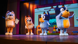 Pela primeira vez, Curitiba recebe o show oficial "Bluey Ao Vivo - Diversão em Família!" no Teatro Positivo