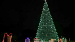 Prefeitura de São José dos Pinhais lança edital para patrocínio e apoio do Natal Encanto e Luz 2025