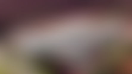 Ceasa de Londrina vai abrir na próxima sexta-feira, feriado de 1º de Maio