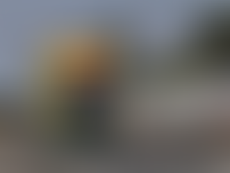 Tecpar lança certificação de práticas sustentáveis para empresas de transportes