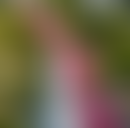 Circuito adidas MDR: últimos dias para as inscrições do primeiro lote